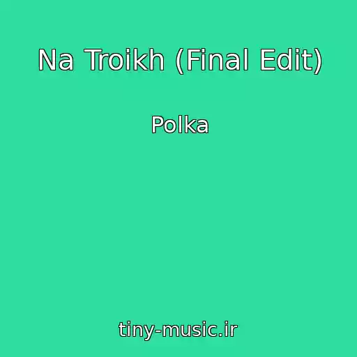 کاور آهنگ Na Troikh (Final Edit) از Polka