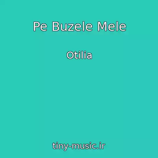 کاور آهنگ Pe Buzele Mele از Otilia