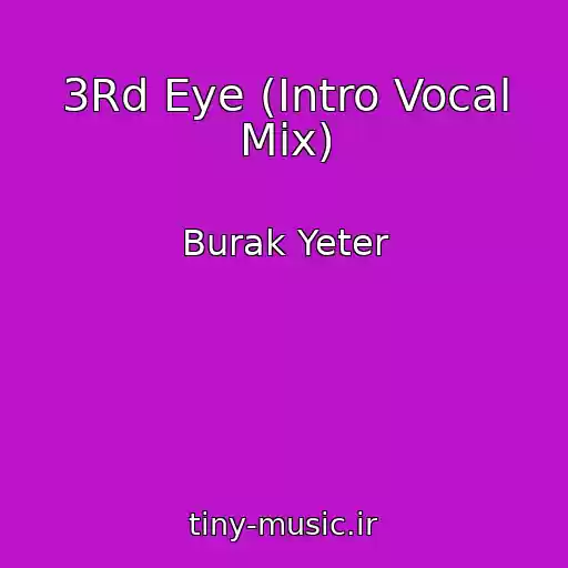 کاور آهنگ 3Rd Eye (Intro Vocal Mix) از Burak Yeter