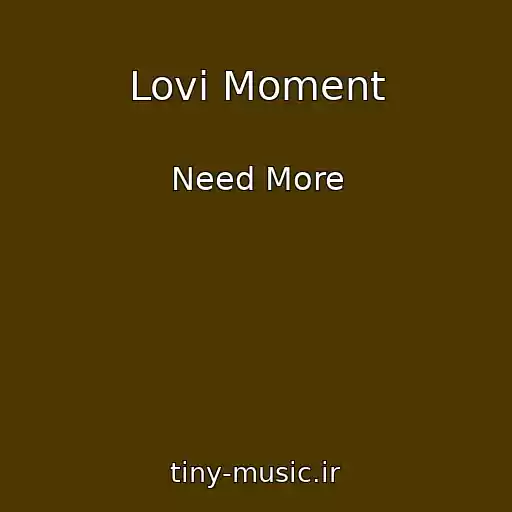 کاور آهنگ Lovi Moment از Need More