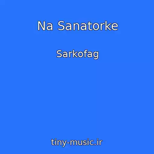 کاور آهنگ Na Sanatorke از Sarkofag