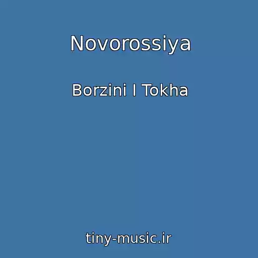 کاور آهنگ Novorossiya از Borzini I Tokha