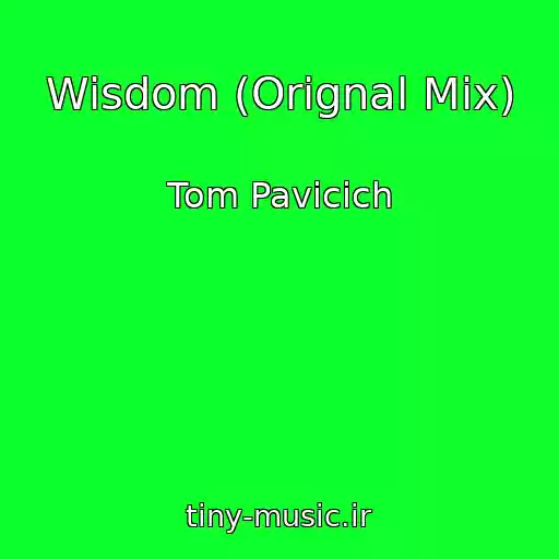کاور آهنگ Wisdom (Orignal Mix) از Tom Pavicich