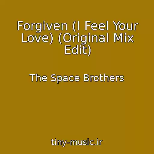 کاور آهنگ Forgiven (I Feel Your Love) (Original Mix Edit) از The Space Brothers