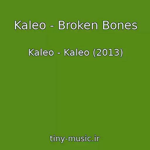کاور آهنگ Kaleo - Broken Bones از Kaleo - Kaleo (2013)