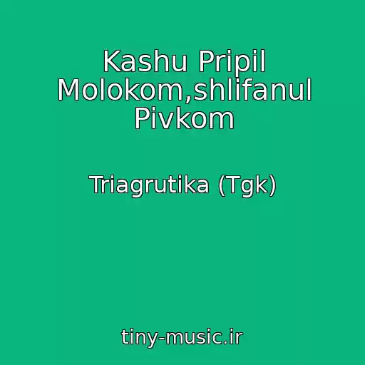 کاور آهنگ Kashu Pripil Molokom,shlifanul Pivkom از Triagrutika (Tgk)