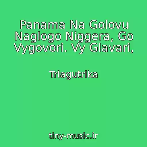 کاور آهنگ Panama Na Golovu Naglogo Niggera, Go Vygovori. Vy Glavari, از Triagutrika