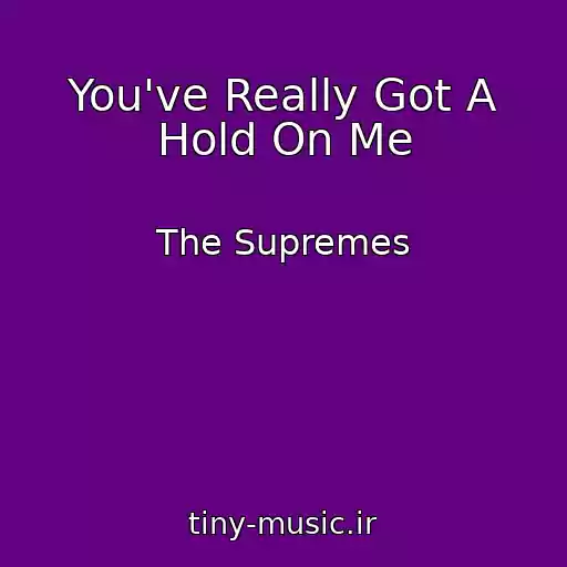کاور آهنگ You've Really Got A Hold On Me از The Supremes