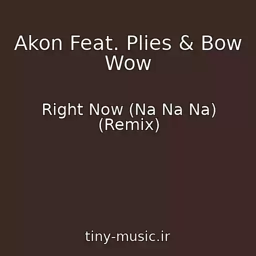 کاور آهنگ Akon Feat. Plies & Bow Wow از Right Now (Na Na Na) (Remix)