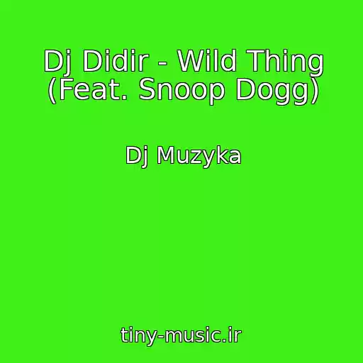 کاور آهنگ Dj Didir - Wild Thing (Feat. Snoop Dogg) از Dj Muzyka