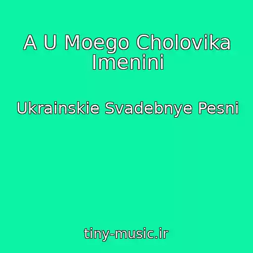 کاور آهنگ A U Moego Cholovika Imenini از Ukrainskie Svadebnye Pesni