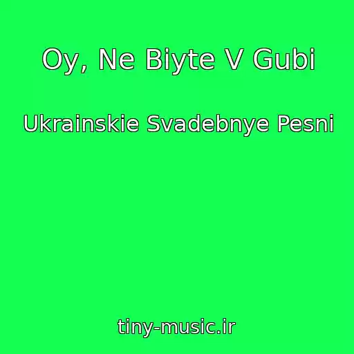 کاور آهنگ Oy, Ne Biyte V Gubi از Ukrainskie Svadebnye Pesni