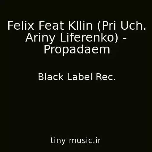 کاور آهنگ Felix Feat Kllin (Pri Uch. Ariny Liferenko) - Propadaem از Black Label Rec.