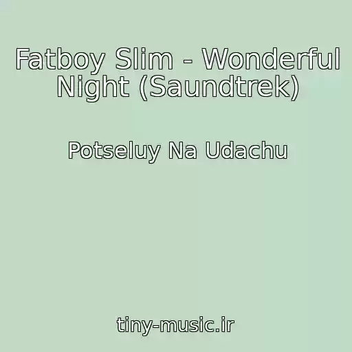 کاور آهنگ Fatboy Slim - Wonderful Night (Saundtrek) از Potseluy Na Udachu