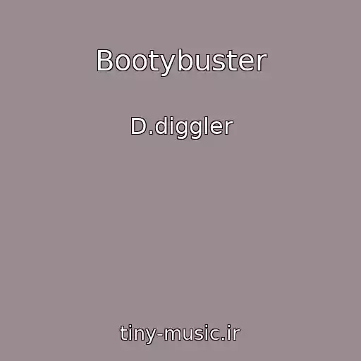 کاور آهنگ Bootybuster از D.diggler