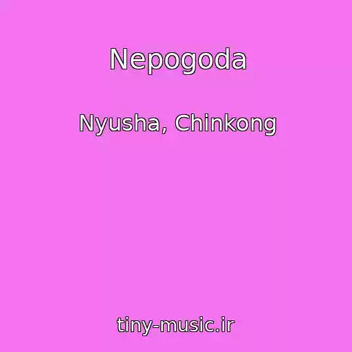 کاور آهنگ Nepogoda از Nyusha, Chinkong