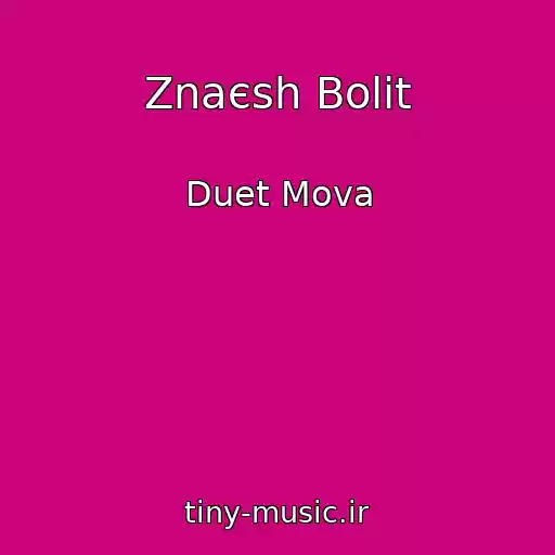 کاور آهنگ Znaєsh Bolit از Duet Mova