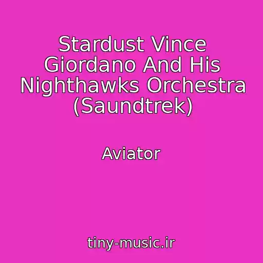 کاور آهنگ Stardust Vince Giordano And His Nighthawks Orchestra (Saundtrek) از Aviator