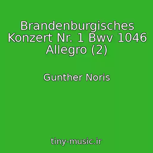 کاور آهنگ Brandenburgisches Konzert Nr. 1 Bwv 1046 Allegro (2) از Gunther Noris