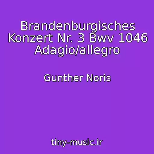 کاور آهنگ Brandenburgisches Konzert Nr. 3 Bwv 1046 Adagio/allegro از Gunther Noris