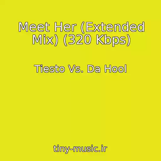 کاور آهنگ Meet Her (Extended Mix) (320 Kbps) از Tiesto Vs. Da Hool