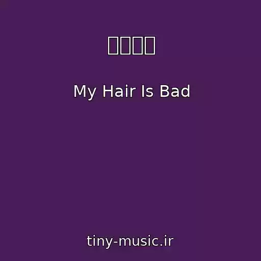 کاور آهنگ 夜行バス از My Hair Is Bad