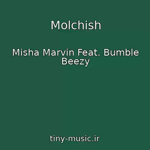 کاور آهنگ Molchish از Misha Marvin Feat. Bumble Beezy