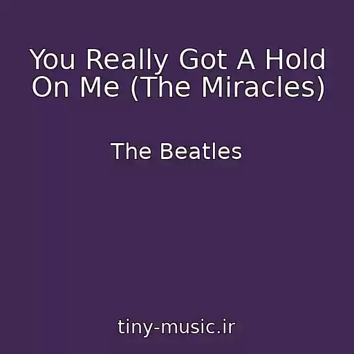 کاور آهنگ You Really Got A Hold On Me (The Miracles) از The Beatles