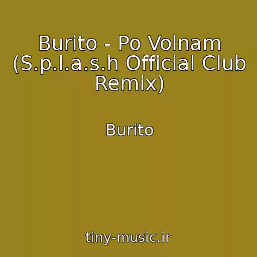 کاور آهنگ Burito - Po Volnam (S.p.l.a.s.h Official Club Remix) از Burito
