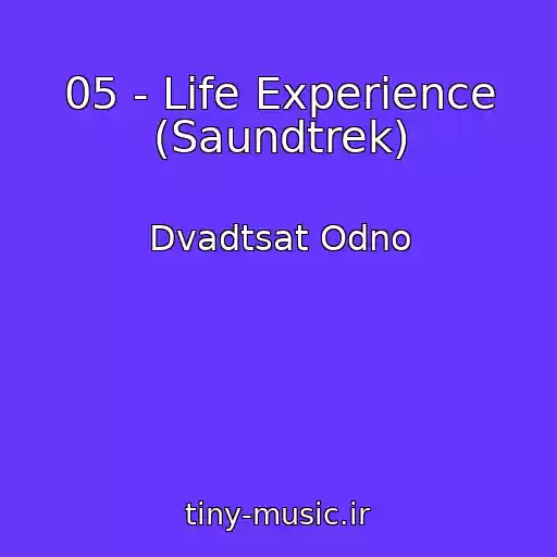 کاور آهنگ 05 - Life Experience (Saundtrek) از Dvadtsat Odno