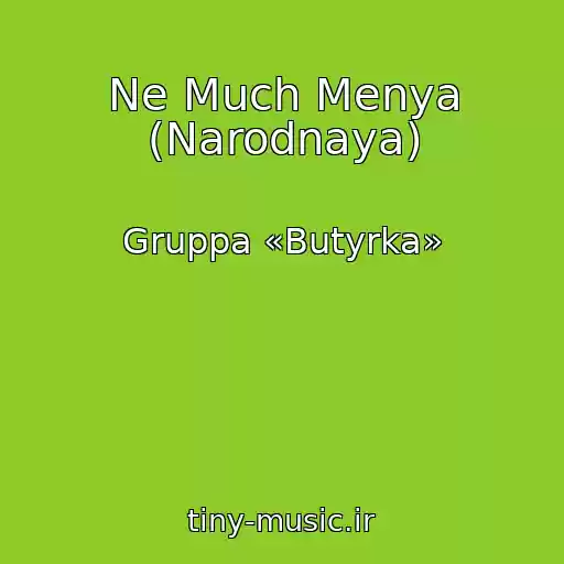 کاور آهنگ Ne Much Menya (Narodnaya) از Gruppa «Butyrka»