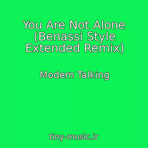 کاور آهنگ You Are Not Alone (Benassi Style Extended Remix) از Modern Talking