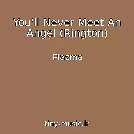 کاور آهنگ You'll Never Meet An Angel (Rington) از Plazma