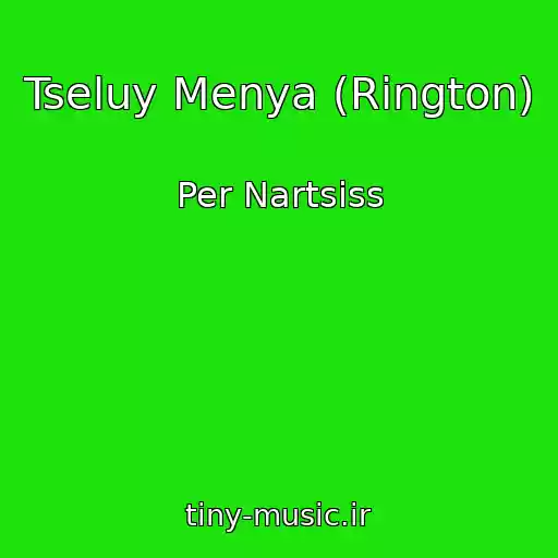 کاور آهنگ Tseluy Menya (Rington) از Per Nartsiss