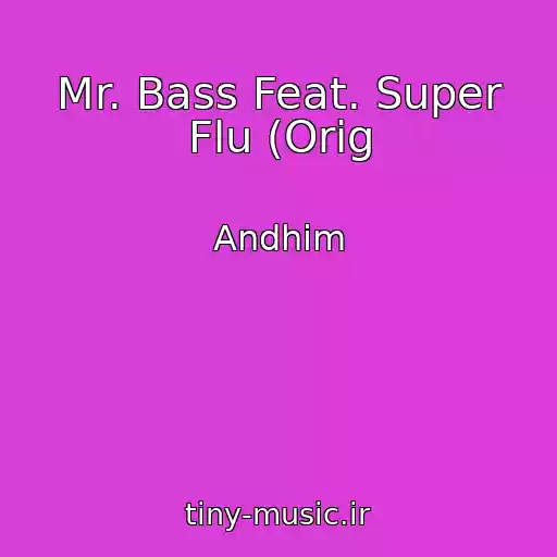 کاور آهنگ Mr. Bass Feat. Super Flu (Orig از Andhim