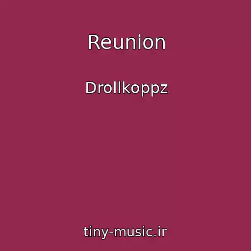 کاور آهنگ Reunion از Drollkoppz