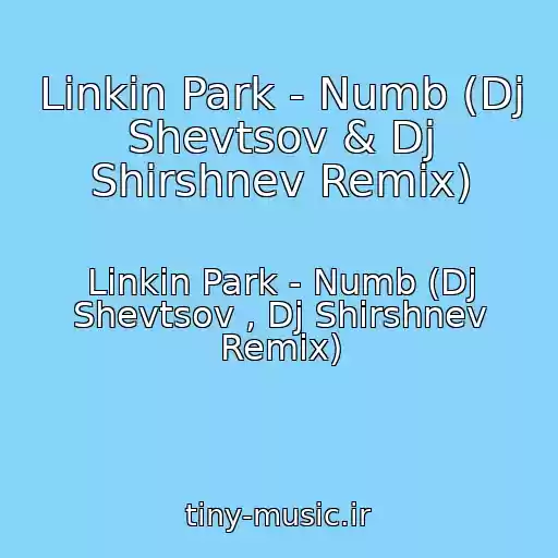 کاور آهنگ Linkin Park - Numb (Dj Shevtsov & Dj Shirshnev Remix) از Linkin Park - Numb (Dj Shevtsov , Dj Shirshnev Remix)