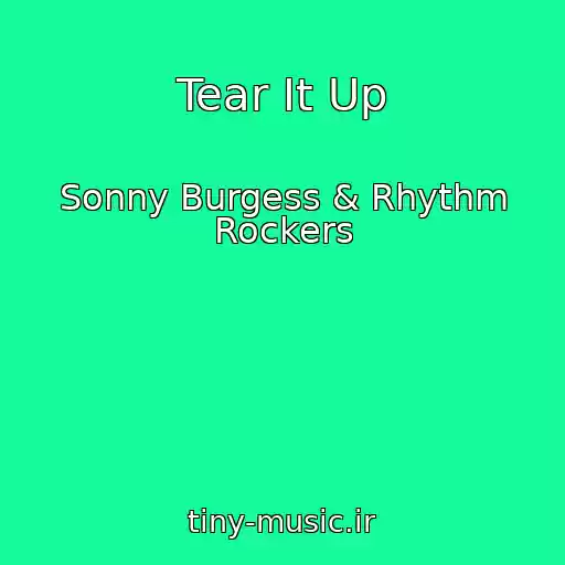 کاور آهنگ Tear It Up از Sonny Burgess & Rhythm Rockers