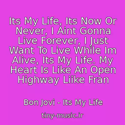 کاور آهنگ Its My Life, Its Now Or Never, I Aint Gonna Live Forever, I Just Want To Live While Im Alive, Its My Life. My Heart Is Like An Open Highway Liike Fran از Bon Jovi - Its My Life