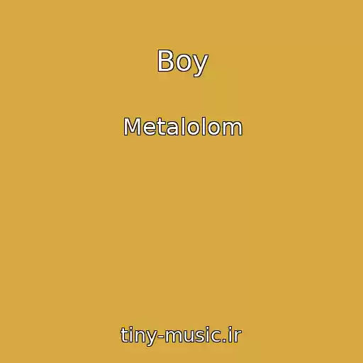 کاور آهنگ Boy از Metalolom