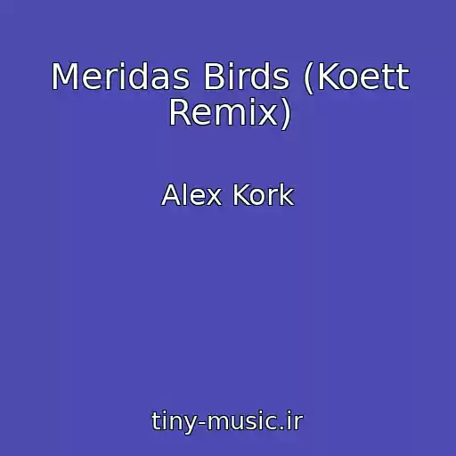 کاور آهنگ Meridas Birds (Koett Remix) از Alex Kork