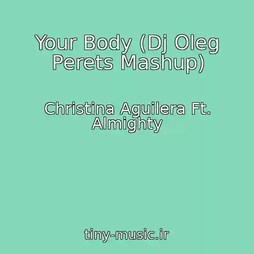کاور آهنگ Your Body (Dj Oleg Perets Mashup) از Christina Aguilera Ft. Almighty