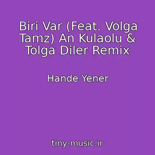 کاور آهنگ Biri Var (Feat. Volga Tamz) An Kulaolu & Tolga Diler Remix از Hande Yener