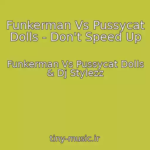 کاور آهنگ Funkerman Vs Pussycat Dolls - Don't Speed Up از Funkerman Vs Pussycat Dolls & Dj Stylezz