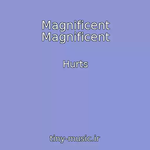 کاور آهنگ Magnificent Magnificent از Hurts