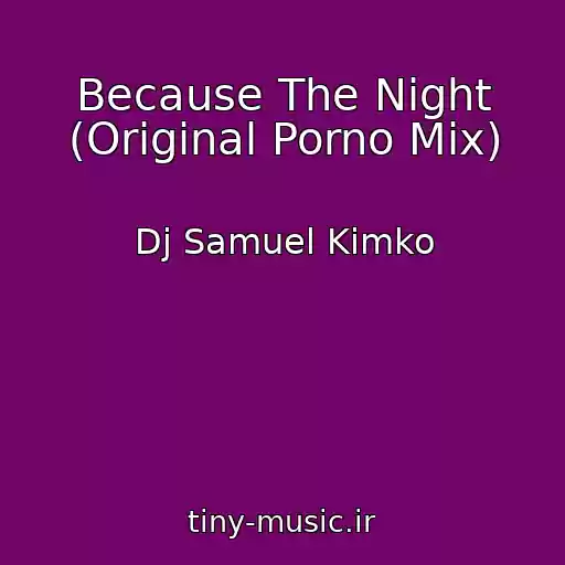 کاور آهنگ Because The Night (Original Porno Mix) از Dj Samuel Kimko