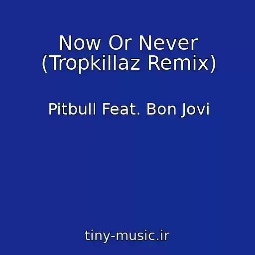 کاور آهنگ Now Or Never (Tropkillaz Remix) از Pitbull Feat. Bon Jovi