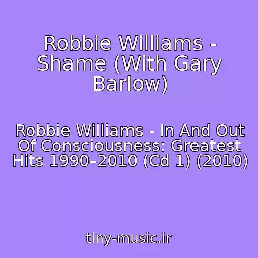 کاور آهنگ Robbie Williams - Shame (With Gary Barlow) از Robbie Williams - In And Out Of Consciousness: Greatest Hits 1990–2010 (Cd 1) (2010)