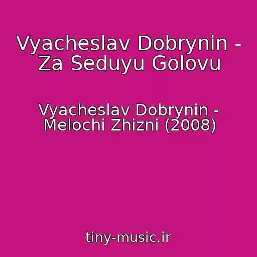 کاور آهنگ Vyacheslav Dobrynin - Za Seduyu Golovu از Vyacheslav Dobrynin - Melochi Zhizni (2008)