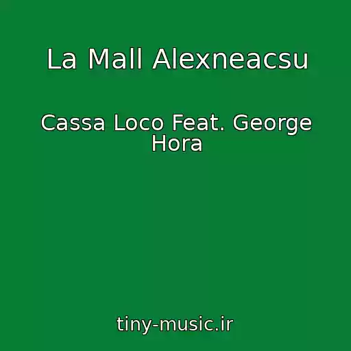 کاور آهنگ La Mall Alexneacsu از Cassa Loco Feat. George Hora